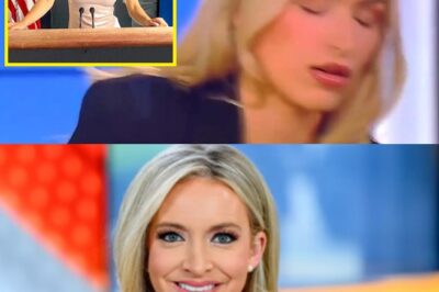 Kayleigh McEnany reveals the health condition of the Fox News guest after fainting live: “I’ll be back on your TV soon”