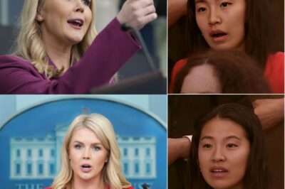 “Excuse Me—THIS IS AMERICA!” Karoline Leavitt’s Jaw-Dropping Statement Stops Chinese Reporter in Their Tracks
