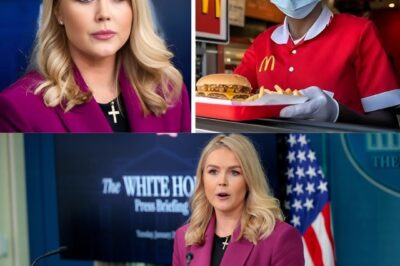 Stunning! Waitress Loses Her Job for One Kind Deed—And Karoline Leavitt’s Intervention Will Leave You in Awe!
