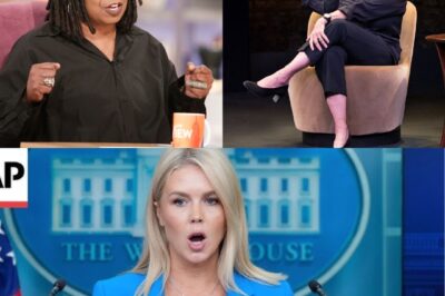 Unreal! Karoline Leavitt Sh0cks The View With One Ice-Cold Line—Even the Hosts Froze