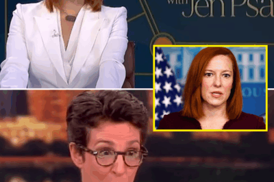 Crisis at MSNBC as Jen Psaki’s dismal ratings are released after taking over for Rachel Maddow: “Looks like sack Psaki time!”