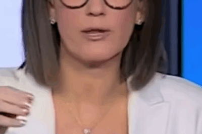 Fox News presenter Jessica Tarlov has been sl:ammed by viewers as ‘el:itist’ after she asked a “ridiculous” question to co-host Jesse Watters