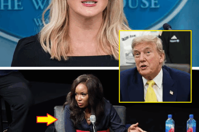 “Unbelievable!” Karoline Leavitt fires back after outspoken Rep. Jasmine Crockett suggests Trump supporters are me:nta:lly ill