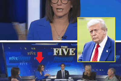 “Trump knows FoxNews is a joke” -Trump turns against Fox News after sh0ck poll and singles out anchor Jessica Tarlov for ‘s0iling’ evening broadcast