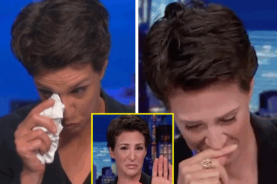 “I KNEW IT WAS TIME TO GO” — Rachel Maddow Officially Says Goodbye to MSNBC, and the Reason Leaves Viewers in Silence