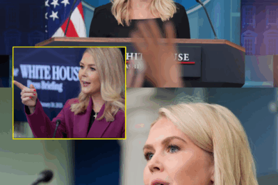 Karoline Leavitt  unleashes a ‘dangerous and insane lie’ that leaves the public stunned: “Why did she say that?”