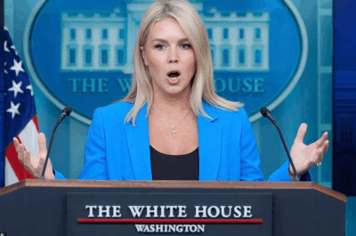 Karoline Leavitt Shuts Down Reporter with Blistering Comeback: ‘What a St:upid Question!’ – Exchange Sparks Online Firestorm!