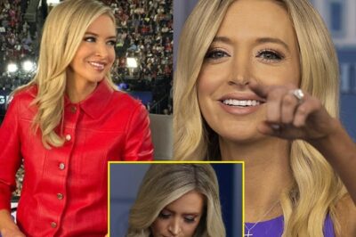 Kayleigh McEnany claims she ‘never lied’, despite evidence that she did
