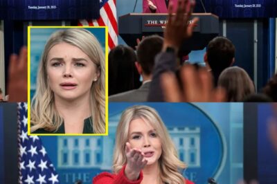 “A Powerful Moment!” Karoline Leavitt Prays Before Facing the Press — What Happens Next Will Shock You