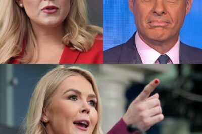 SH0CKING TWIST: ABC Anchor Taken Off the Air After Karoline Leavitt Uncovers His Deleted Comment — What He Posted Has Everyone Talking