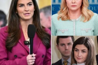 EXPLOSIVE SHOWDOWN: Karoline Leavitt Bans CNN’s Kaitlan Collins from Press Briefing After “Stupid” Question — Shocking Moment Stuns the Room