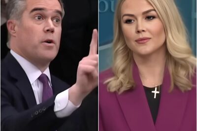 Unbelievable Fallout! NBC Veteran Peter Alexander Left Stunned After He:ated Exchange with Karoline Leavitt