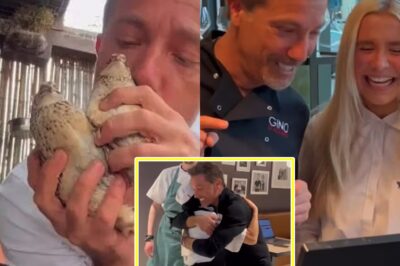 “I’m Still the Same Gino!” — D’Acampo Launches Cringew0rthy ‘Uncancel Me’ Tour with Awkward Hugs, Kisses, and Public Pleas After ITV Scandal