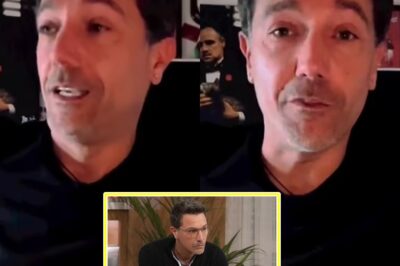 Gino D’Acampo Makes a Bold COMEBACK with NEW JOB After Shutting Down Restaurant Chain and Quitting ITV Show!