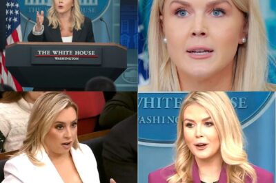 No More Silence! Fox News Reporter Asks Karoline Leavitt the Epstein Question the Public Wants Answered