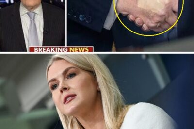 “Something’s Not Right” – Fox News Abruptly Cuts Program as Karoline Leavitt Drops Alarming Trump Update On-Air