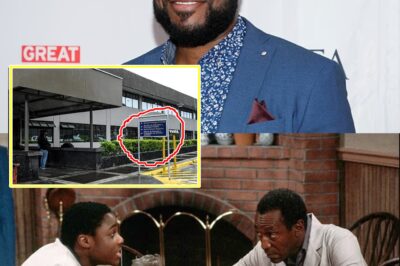 “‘I Can Still Hear His Final Gasps’ – Doctor Who Tried to Save Malcolm-Jamal Warner Speaks Out About the Chi:lling Moments Before the Cosby Show Star Drowned”
